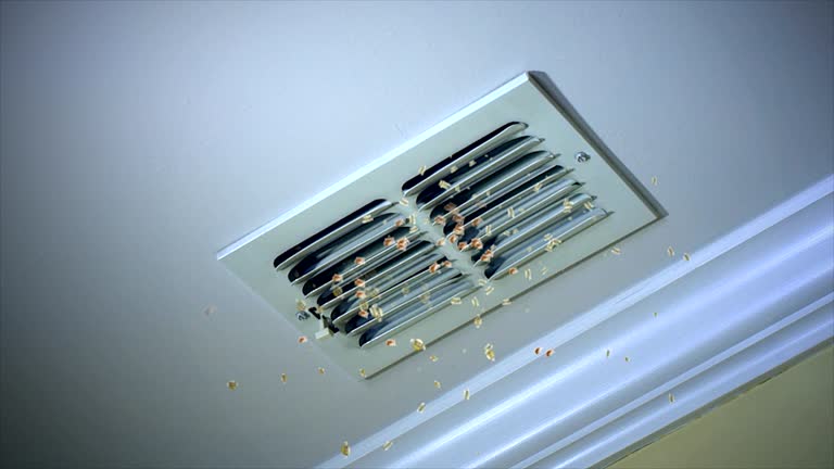 Best Affordable Duct Cleaning Services  in Pleasure Point, CA