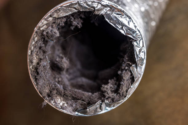 Best Ductwork Cleaning Services  in Pleasure Point, CA