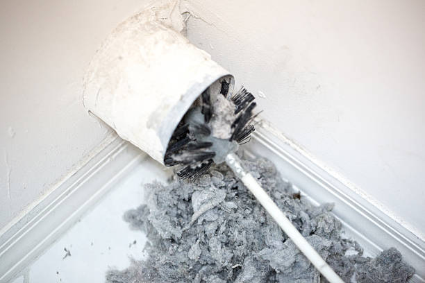 Best Professional Duct Cleaning Services  in Pleasure Point, CA